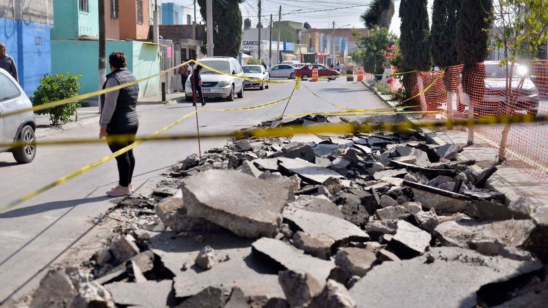 colector pluvial de cactus  (2)